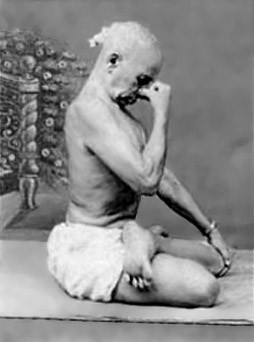 Legado de Krishnamacharya