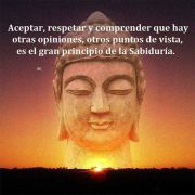 CHIO J.M.